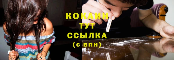 хмурый Абаза