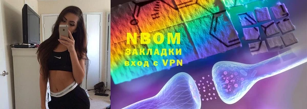 хмурый Абаза