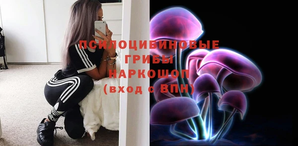 хмурый Абаза