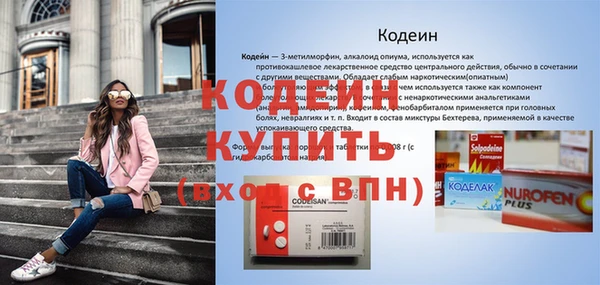 хмурый Абаза