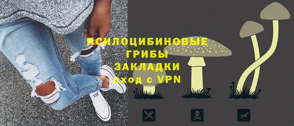 хмурый Абаза