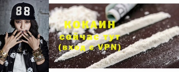 хмурый Абаза