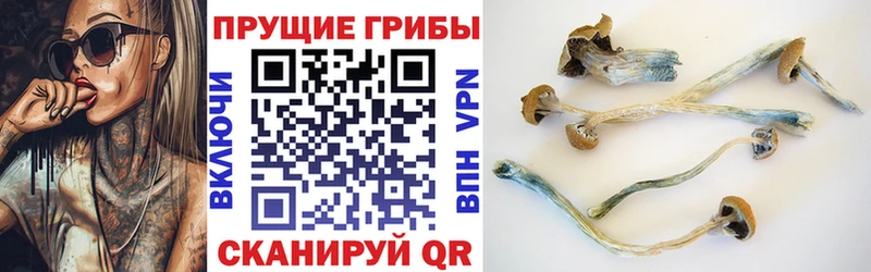 Галлюциногенные грибы прущие грибы  kraken зеркало  Сорск 
